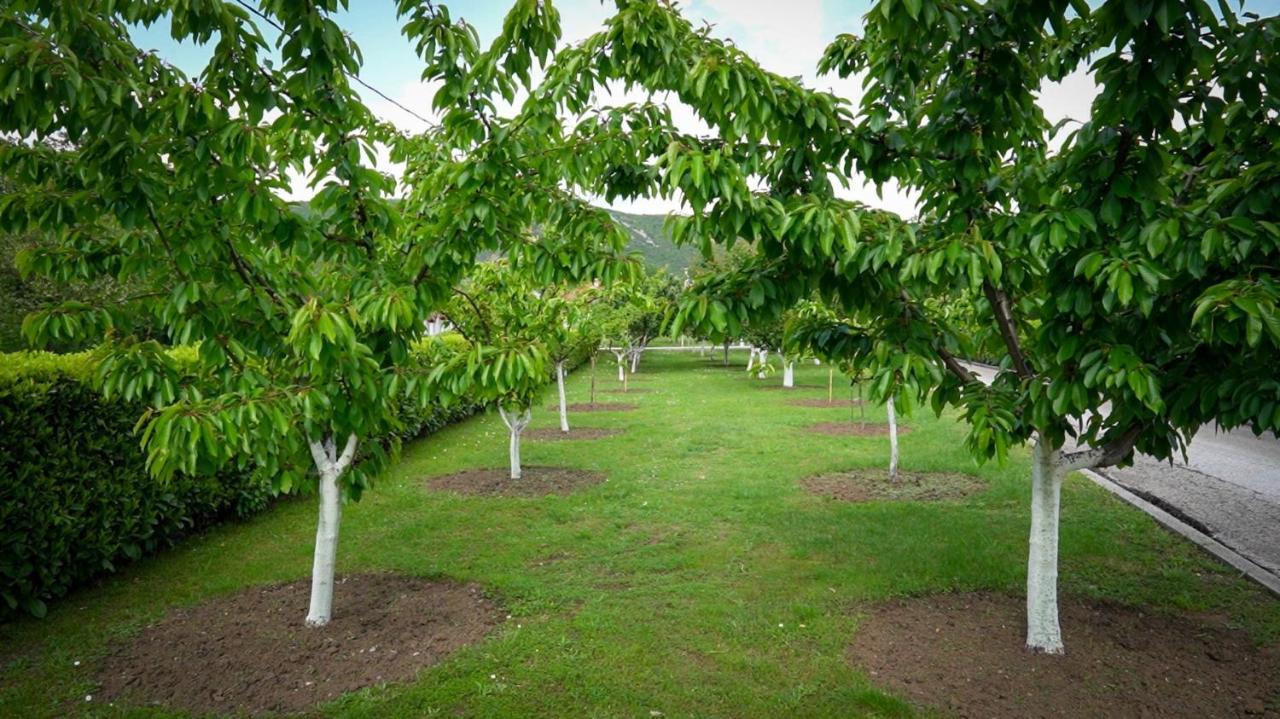 Danilovgrad Seosko Domacinstvo Jovanovic المظهر الخارجي الصورة